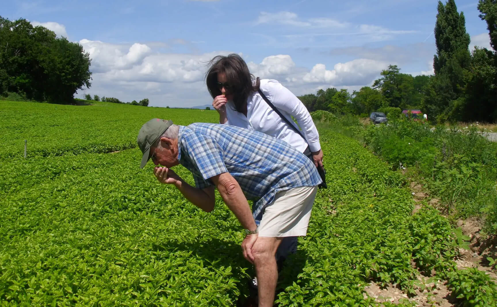 Kelly picking herbs